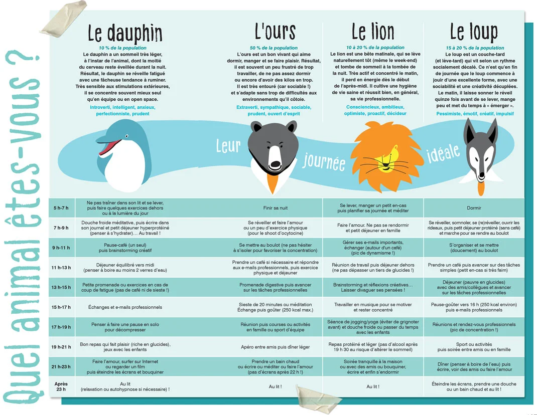 Rythme et efficacité au travail